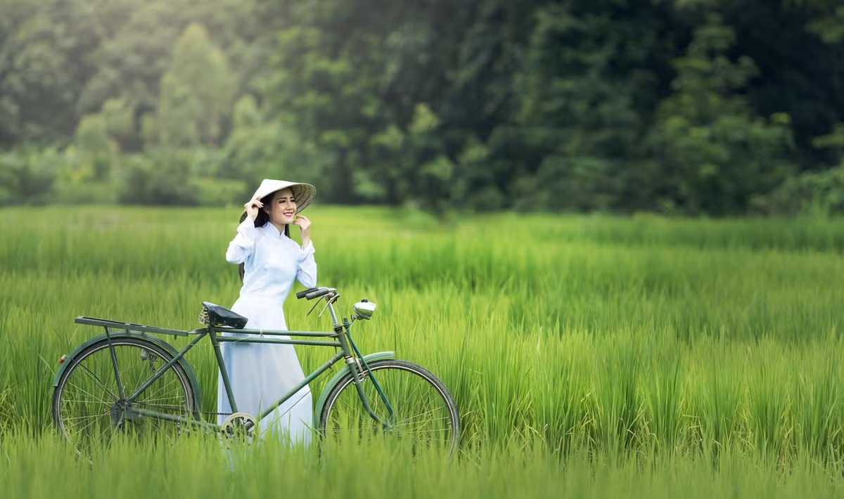 Một số hình ảnh khác trong bộ ảnh.