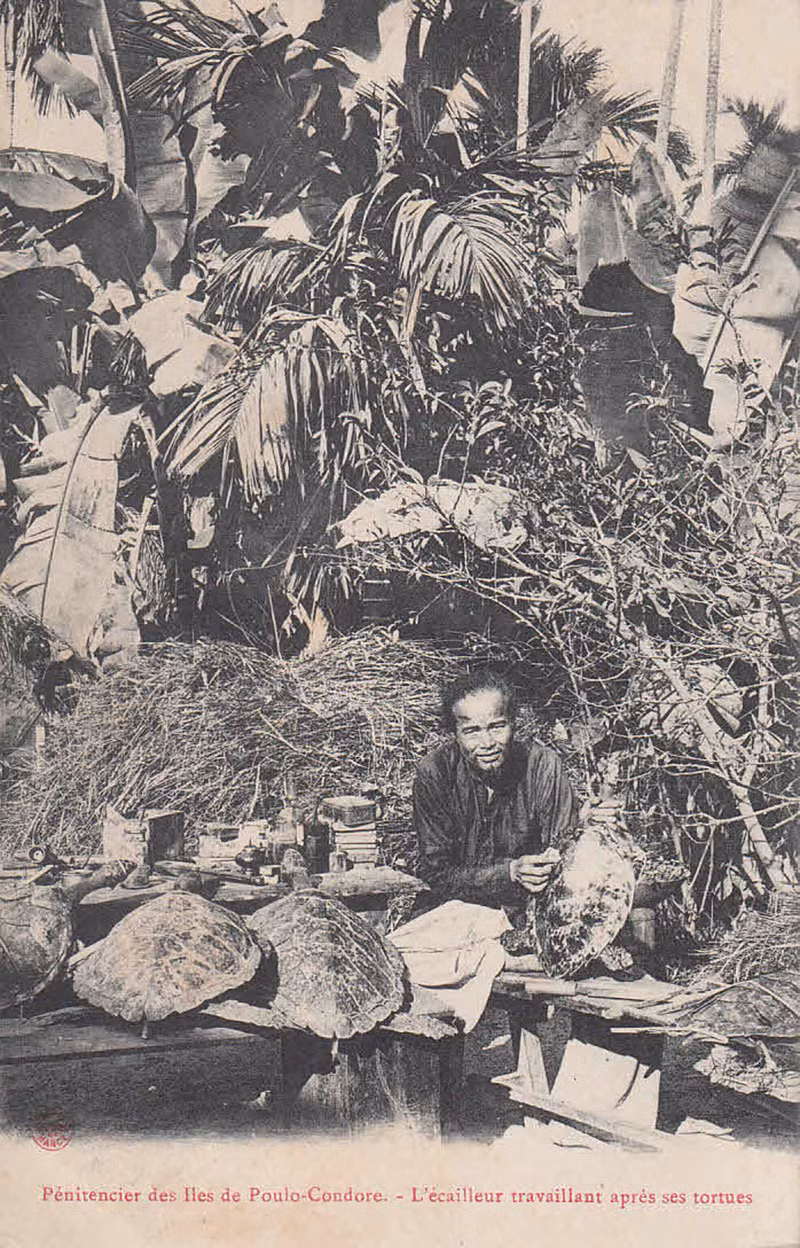 Người đàn ông chế tác mai đồi mồi ở Côn Đảo.