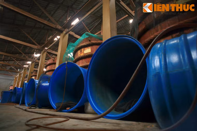 Trong thời gian chiến tranh, các nhà thùng ở Cửa Cạn bị tàn phá, nên các nhà thùng dần chuyển qua Dương Ðông và An Thới như hiện nay.