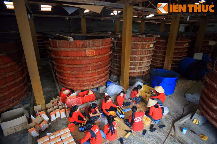  Nhà thùng nước mắm là tên thường gọi của các cơ sở sản xuất nước mắm truyền thống ở Phú Quốc. Ghé thăm các nhà thùng này, du khách có thể khám phá quy trình tạo thành những giọt nước mắm hảo hạng theo cách thức đã tồn tại hàng trăm năm nay.