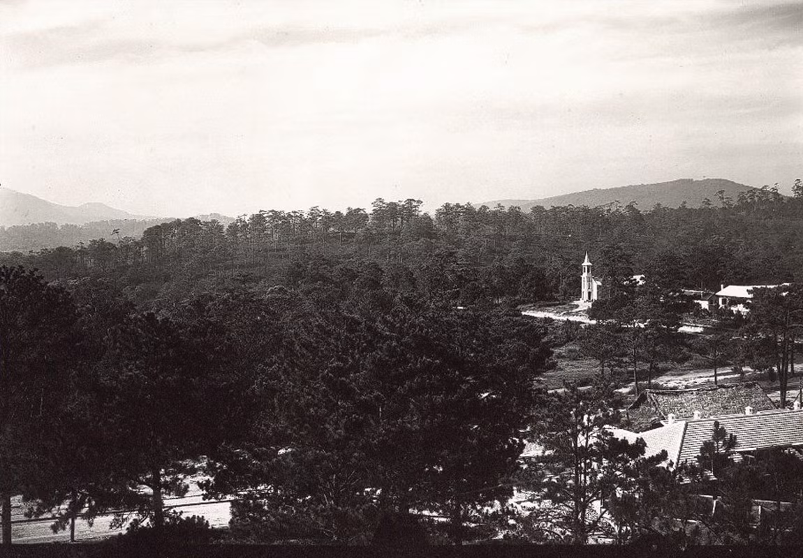 Nhà thờ chính tòa Đà Lạt (nhà thờ Con Gà) nổi bật giữa rừng núi.