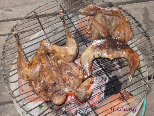 Chim cúm núm có thể được chế biến theo nhiều cách như cúm núm nướng, cúm núm xào, cúm núm khìa nước dừa,...(Ảnh Dulichvietnam)