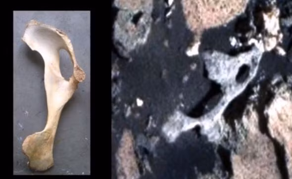 Các nhà khoa học thuộc tàu vũ trụ Curiosity Rover của NASA vừa công bố những hình ảnh mới nhất về hàng loạt vật thể lạ tìm thấy trên sao Hỏa. Nguồn ảnh: Phys.