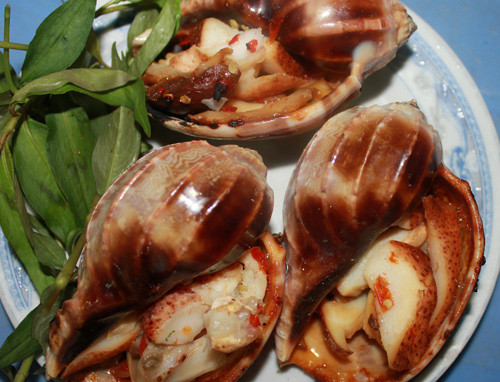 Ốc khế có kích thước khá lớn, những con ốc trưởng thành có thể to bằng nắm tay người lớn. (Ảnh Megafun) 