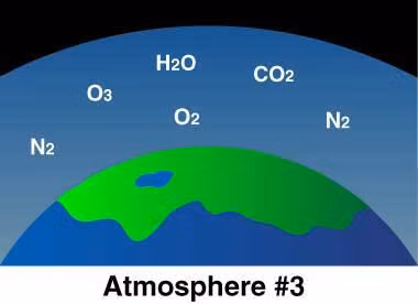 Khi quyen Trai dat da tien hoa the nao trong hang ti nam?-Hinh-3