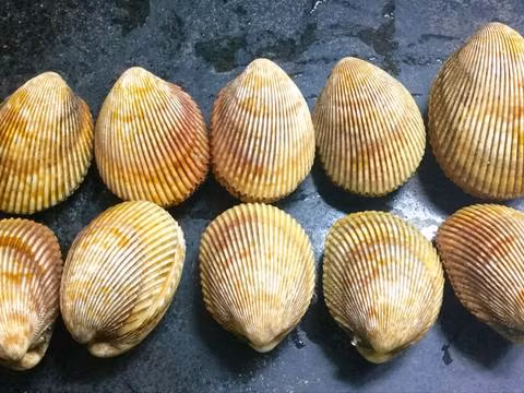 Sò dương bắt được chủ yếu ở dạng lưỡng tính. Đặc biệt, loài hải sản này có hiện tượng chuyển giới tính. (Ảnh Cpcdn)