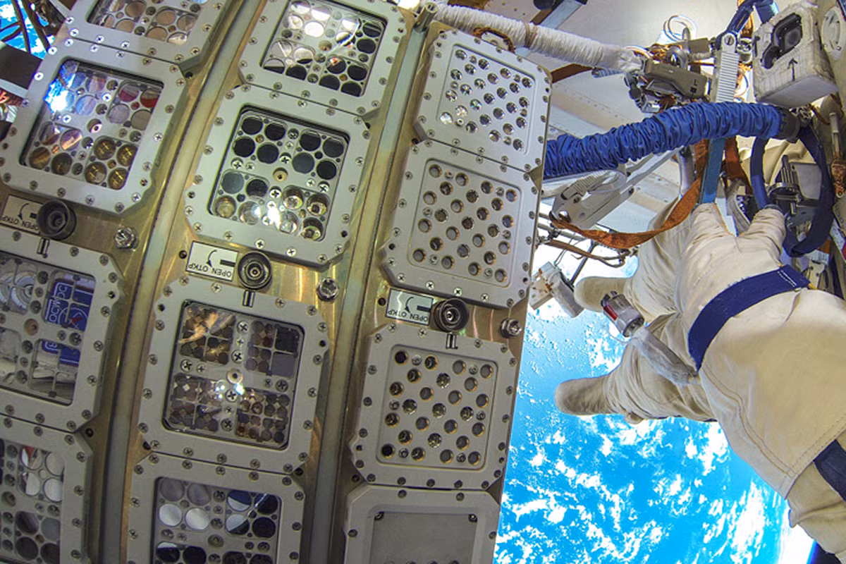 Nhanh chóng sau đó, NASA bác bỏ và khẳng định rằng, cách phân loại, nhận diện các sự sống vi sinh vật cổ trong vũ trụ của Nga là chưa chuẩn xác vừa chưa có căn cứ, cơ sở phân loại rõ ràng. Bởi phần lớn chúng là những cấu trúc phức tạp chứ không hề đơn giản để mà nhận diện. Nguồn ảnh: Google.