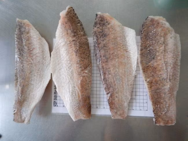 Trên thế giới, cá chẽm phân bố ở Malaysia, Australia, Trung Quốc,...(Nguồn Goodprice)