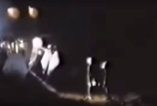 Các chuyên gia săn lùng UFO cho rằng đó là người ngoài hành tinh chuyên đảm nhiệm các vụ bắt cóc người Trái đất và gia súc. Nguồn ảnh: disclose.