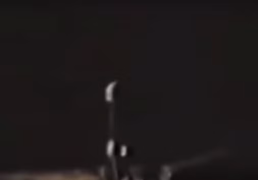 Theo những gì mô tả trong video cho thấy video được quay một cách bí ẩn, bị rung và nguồn gốc của video vẫn chưa được xác định. Nguồn ảnh: disclose.