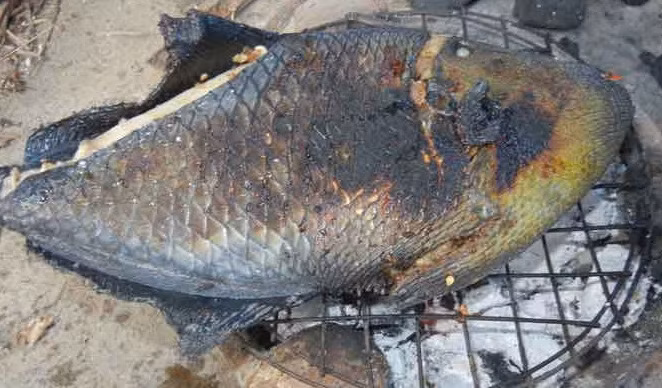 Cá bò giáp là đặc sản của miền biển, xuất hiện ở vịnh Nha Trang - vùng biển Khánh Hòa. (Ảnh Muine-explorer) 