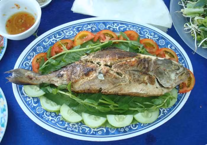 Cá cu là loài cá ăn thịt, có kích thước khá lớn. Mõm nhọn, răng nhọn mọc thành đai rộng hướng vào trong miệng. (Nguồn Dacsannanggio)