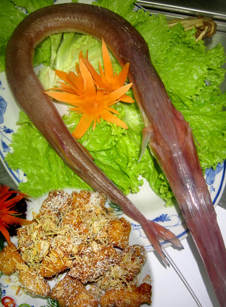 Cá chìa vôi rất nhiều thịt vì nó chỉ có một trục xương sống ở giữa. (Ảnh Muabanthuysan)