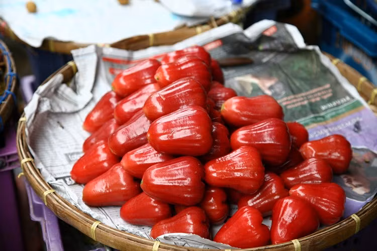 Quả roi có vị chua ngọt, chát nhẹ hấp dẫn, và thường được mua về sử dụng như loại quả ăn vặt vào mùa hè. (Nguồn Alobacsi)