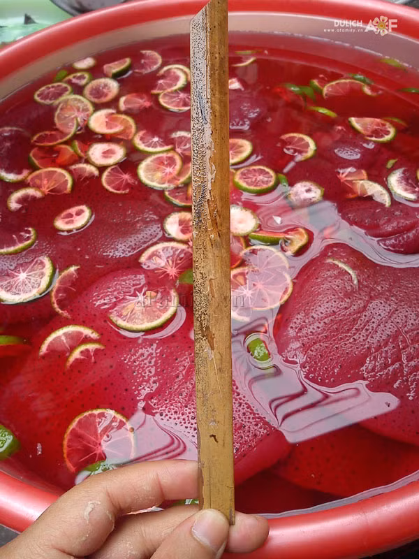 Sứa đỏ vừa thơm ngon, ăn mát, lại vừa có tác dụng thanh nhiệt, mát, giảm huyết áp cao, giảm ho, giúp giảm mỡ máu và tốt cho người bị bệnh tim mạch. (Nguồn Tinybook)