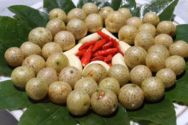 Quả mắc mật có hình dáng và vị như quất hồng bì nhưng quả nhỏ, mịn và ăn ngọt hơn. Khi chín, quả có màu trắng nhờ đến trắng trong và chứa 1-2 hạt. (Nguồn Giadinh)