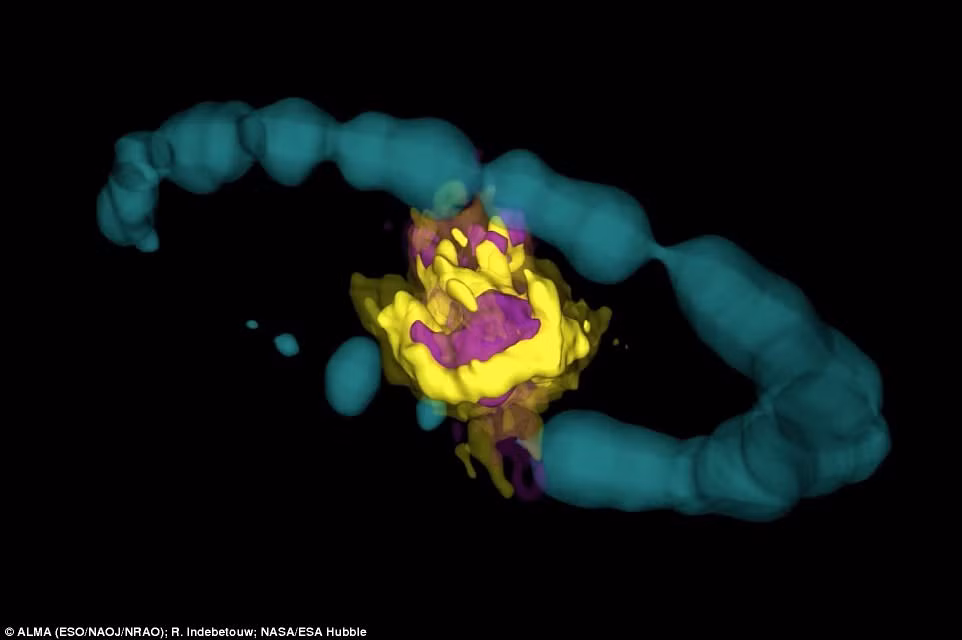 Canh doc: Trai tim sieu tan tinh no duoi cong nghe 3D