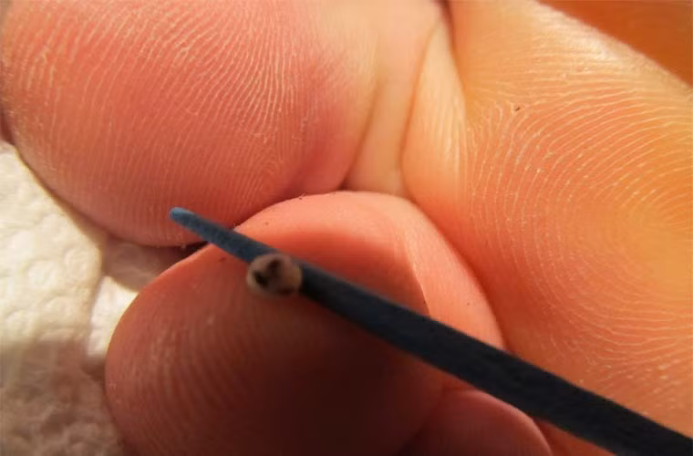 Bọ Jigger sống dưới đất và cát. Khi kiếm được vật chủ để kí sinh, chúng sẽ chui vào dưới lớp da bàn chân của vật chủ và bắt đầu đẻ trứng sau 2 tuần. Các túi trứng của bọ Jigger có kích cỡ gần bằng hạt đậu.