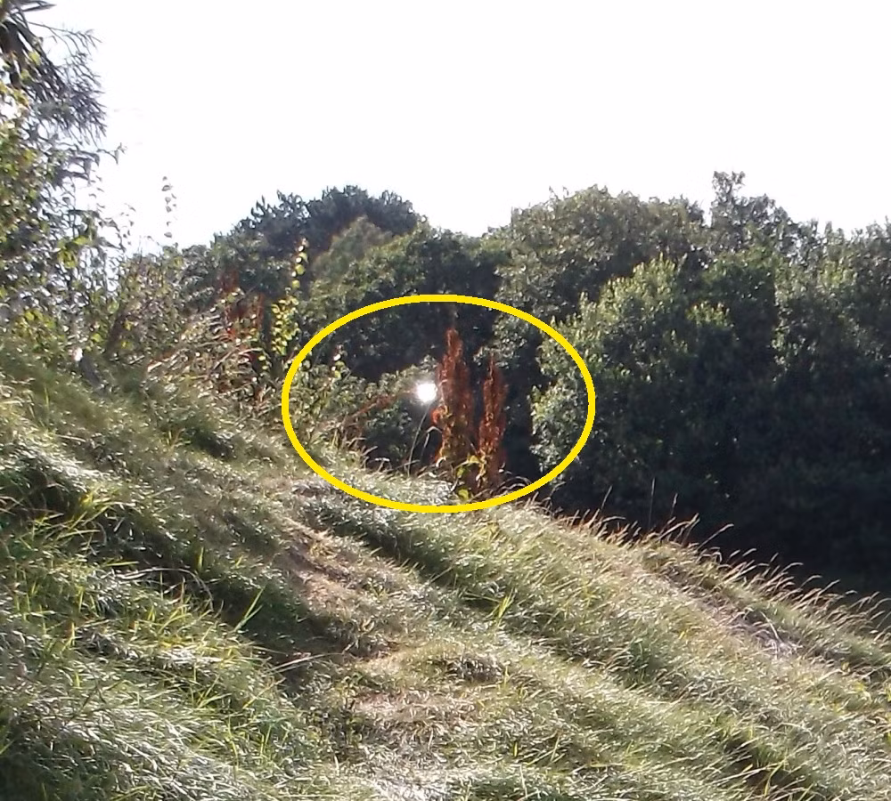 Do vật thể di chuyển chậm, len lỏi nên nhân chứng có nhiều thời gian để chụp ảnh lại nó. Nguồn ảnh: beamsinvestigations.