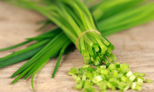 Cây hẹ rất dễ trồng và ít phải chăm sóc, phát triển tốt quanh năm. Chỉ cần gieo hoặc trồng bằng cây con một lần là có thể thu hoạch nhiều lứa, nhiều năm.