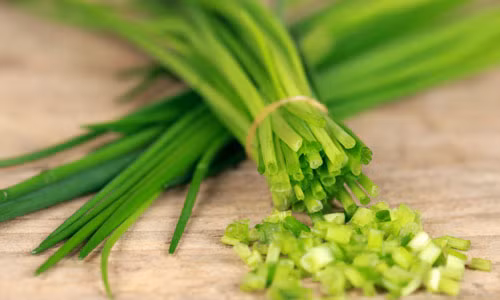 Cây hẹ rất dễ trồng và ít phải chăm sóc, phát triển tốt quanh năm. Chỉ cần gieo hoặc trồng bằng cây con một lần là có thể thu hoạch nhiều lứa, nhiều năm.