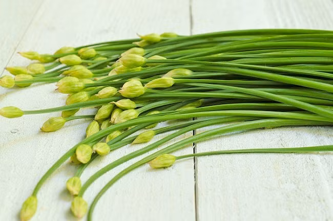 Trong cây hẹ có chứa các hoạt chất kháng sinh mạnh có tác dụng chữa được ngứa ghẻ, chín mé, nhiễm trùng da bằng cách đắp lá giã nhỏ lên vết thương. Ngoài ra, nó còn hỗ trợ điều trị đái tháo đường, nhuận tràng, trị táo bón, chữa ho cho trẻ em do cảm lạnh, giúp bổ mắt,...