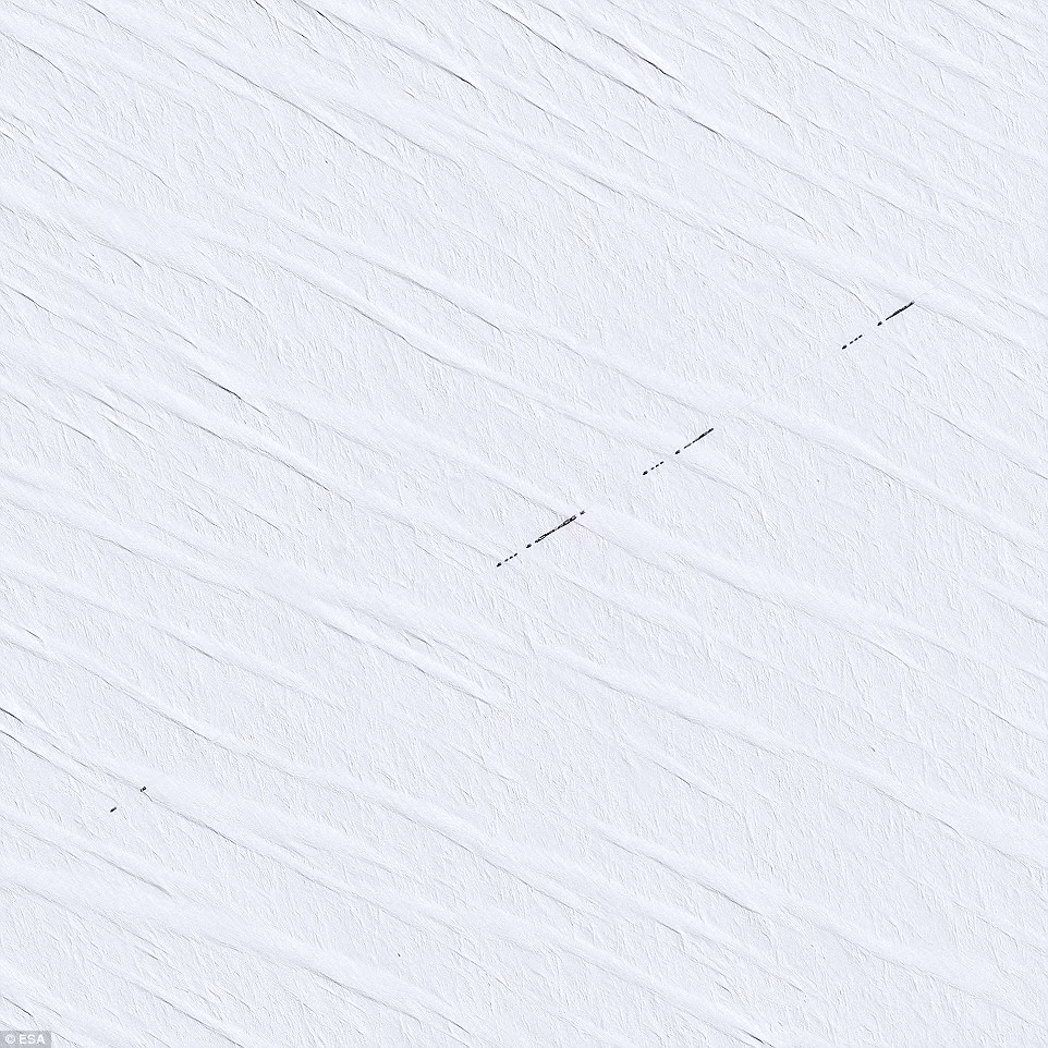 Đó là khoảnh khắc cực kỳ ấn tượng, khi đoàn xe tiếp tế hoành tráng hóa thành một lằn chỉ đen nhỏ, nổi bật trên vùng tuyết trắng Nam Cực. Ước tính bức ảnh này được chụp ở độ cao khoảng 700 km.