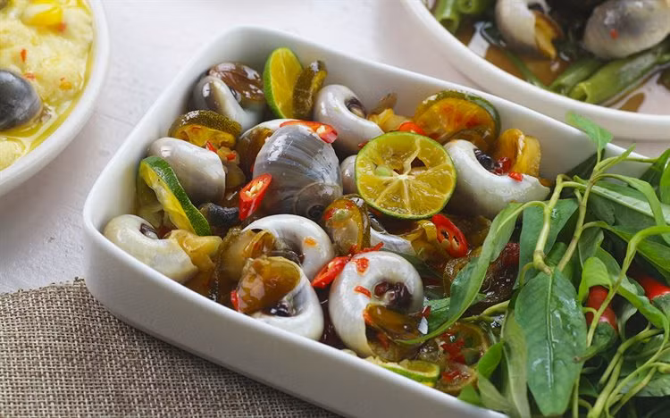 Ốc mỡ tiêu diệt con mồi bằng cách khoan nhiều lỗ nhỏ trên vỏ của con mồi rồi dùng lưỡi sừng, chất bài tiết và chèn vòi vào để lấy dinh dưỡng từ con mồi. (Ảnh Cooky)