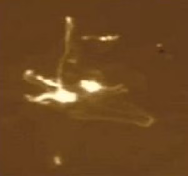 Đó là một khối vật thể dị dạng, khổng lồ và ma quái, có kích thước lớn hơn nhiều so với con tàu. Nguồn ảnh: ufosightingshotspot. 