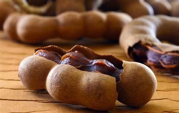  Me Hạt me có thể rang, nướng, ngâm, luộc, hoặc chiên để ăn. Ngoài ra, hạt me còn có thể nghiền nhuyễn thành bột để dùng trong các món bánh, súp để ăn. Loại hạt này chứa nhiều phốt pho, ma-giê, vitamin C, kali, can- xi và các a-xít amin quan trọng khác. (Nguồn Khoef) 