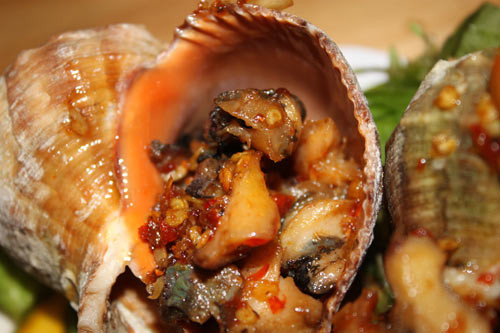 Do có nhiều vân đẹp nên vỏ của ốc tù và còn được sử dụng để làm đồ trang trí. (Ảnh Paragonhotel)