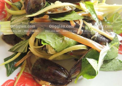 Giống như nhiều loài ốc ở biển khác, ốc tài xỉu cũng thích trú ngụ dưới bùn. Thoạt nhìn, ốc tài xỉu trông khá giống con chem chép. (Ảnh Imgur)