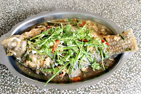 Thức ăn của cá duồng là các loài giáp xác nhỏ, phù du thực vật, các vẩn cặn trong tầng nước. (Ảnh Baodongnai)