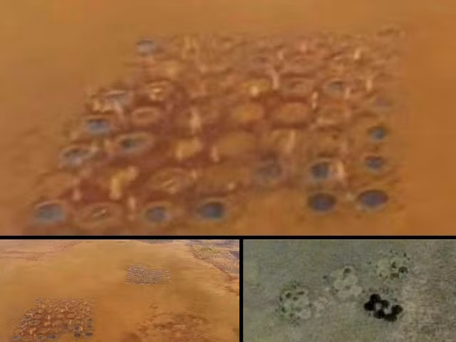 Bi an cau truc la trong khu rung tham gay sung sot