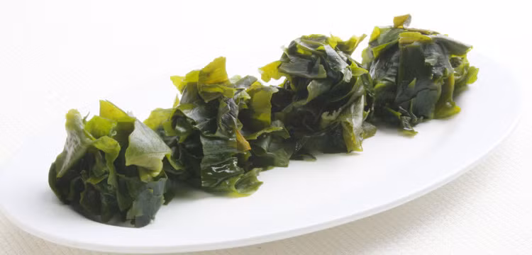 Rong biển đã được sử dụng trong bữa ăn của con người từ thời tiền sử. Nhật Bản, Hàn Quốc, Scotland, Ái Nhĩ Lan, Tân Tây Lan, quần đảo Thái Bình Dương và các nước Nam Mỹ ven biển… cũng đã sử dụng rong biển từ rất lâu đời. (Nguồn Congdungcuarongbien) 