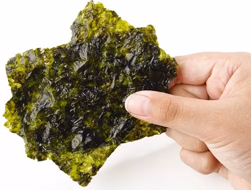 Rong biển là thức ăn rất giàu dưỡng chất. Cụ thể, rong biển chứa nhiều chất bột đường, chất xơ, đạm, sinh tố, chất khoáng, canxi, vitamin B2,...(Nguồn Hatoccho)