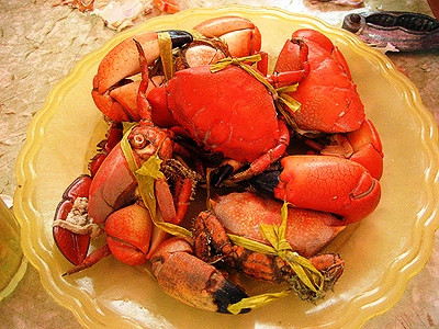 Khi nước biển rút xuống là thời điểm thích hợp nhất để câu cúm núm. (Ảnh Dulichhalong)