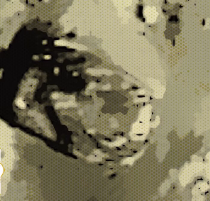 Nhiều người cho rằng đây có thể là UFO cổ đại bị người ngoài hành tinh bỏ hoang trên Mặt Trăng hoặc đây cũng có thể là vết tích một vụ tai nạn UFO nào đó. Nguồn ảnh: ufosightingsdaily.