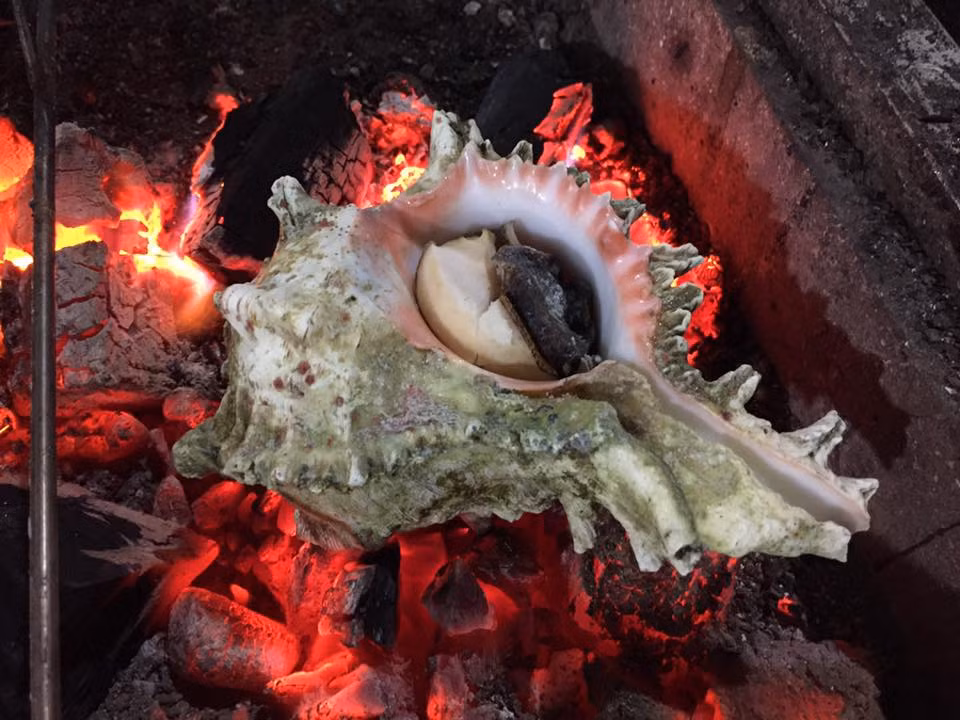 Thịt ốc sư tử rất giòn mà không bị dai, thơm, ngọt và đặc biệt là cung cấp rất nhiều chất dinh dưỡng thiết yếu. (Ảnh Haisantuoisachbienhoa)