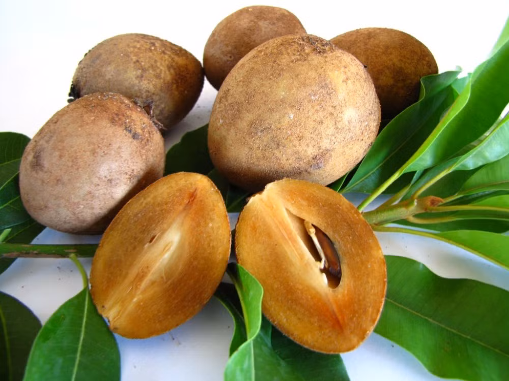  Quả hồng xiêm có nguồn gốc ở miền Nam Mexico, Trung Mỹ và Caribbe. Cây hồng xiêm được đưa vào nước ta từ Thái Lan - đất nước được biết đến với tên là nước Xiêm, ngoài ra do hình dáng giống như quả hồng nên mới có tên gọi hồng xiêm. (Nguồn Daitrang)