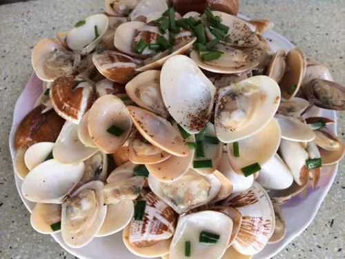  Con chang chang là loài nhuyễn thể chỉ có ở đồng bằng sông Cửu Long, đặc biệt có nhiều ở miệt Đồng Tháp, Vĩnh Long, An Giang. (Ảnh Pik)