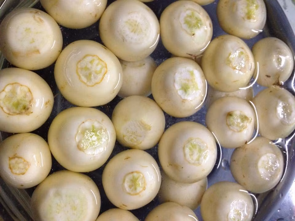 Mặc dù vậy, trong cà pháo xanh có lượng độc tố solanin cao gấp 5 - 10 lần so với mức an toàn. Ngộ độc solanine với hàm lượng lớn có thể nguy hiểm đến tính mạng. (Nguồn Agiadinh)