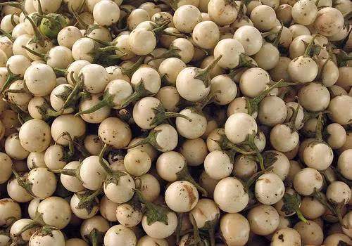 Cà pháo chứa hàm lượng vitamin E, vitamin P cao. Ngoài ra, nó còn chứa protein, canxi, sắt, phốt pho, ma giê,… đặc biệt chứa chất Nightshade soda - một chất có tác dụng chống ung thư. (Nguồn Lamsao)