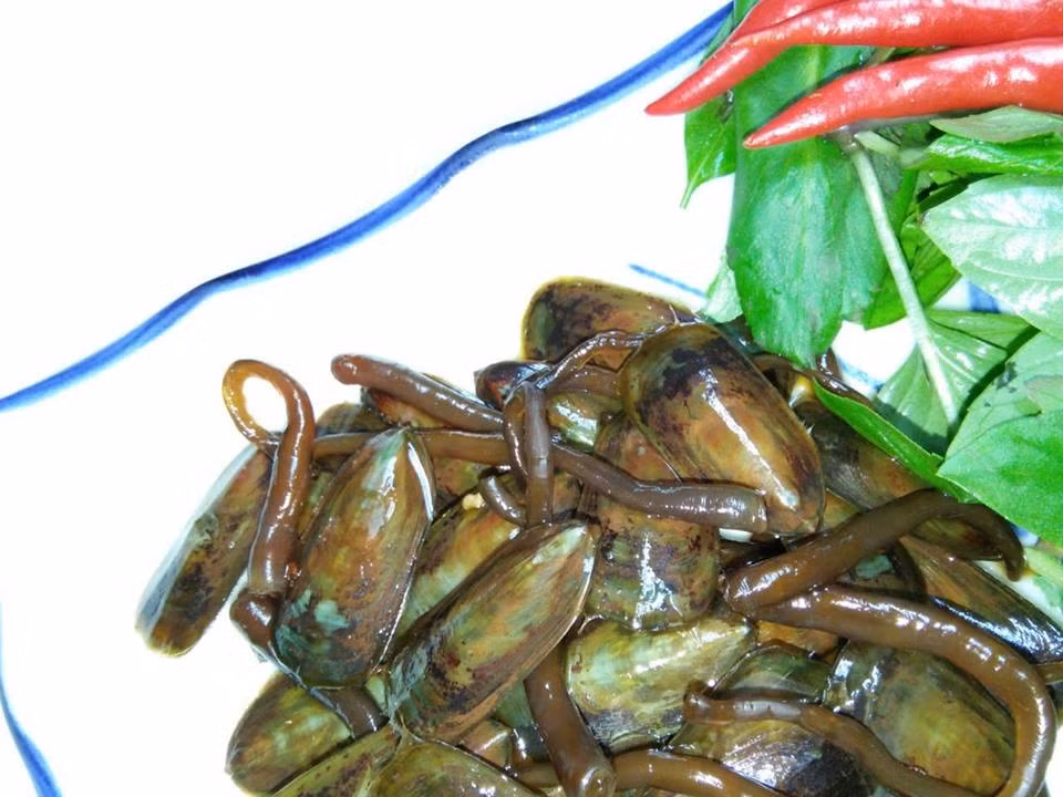 Ốc tài xỉu xào sả ớt, ốc tài xỉu nướng mỡ hành,… là những món ăn được chế biến từ ốc tài xỉu rất được ưa chuộng ở nước ta. (Ảnh Amazonaws)