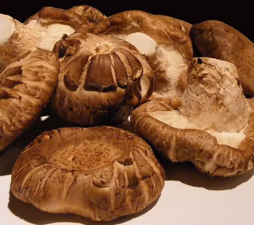 Nấm hương có mùi hương rất hấp dẫn nên được gọi là nấm hương. Ngoài ra, nấm hương còn có tên gọi khác là nấm đông cô, hương cô, hương tím, hương tẩm…(Nguồn Nuoitrong123)