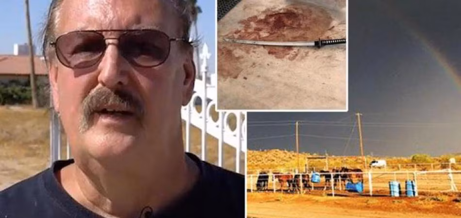 Nguồn ảnh: Disclose. Nguồn ảnh: Disclose.