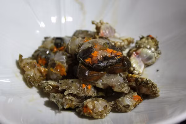 Con rạm có nhiều gạch, thịt ngọt và béo. Rạm có giá trị dinh dưỡng cao, chứa nhiều vitamin và khoáng chất như vitamin B1, B2, PP, canxi, sắt,...(Nguồn Amthuc365)