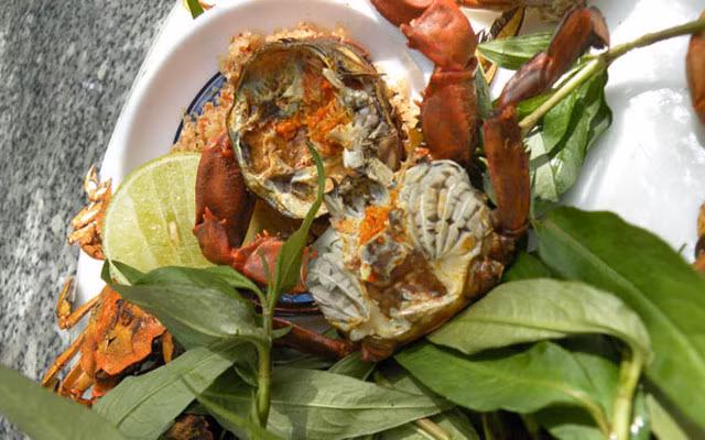 Để bắt được rạm, người ta sử dụng mồi câu là cá đã bốc mùi ươn trộn với cám rang. Ngoài ra, có thể cất vó như bắt tôm cá hoặc dùng lờ. (Nguồn Danviet)