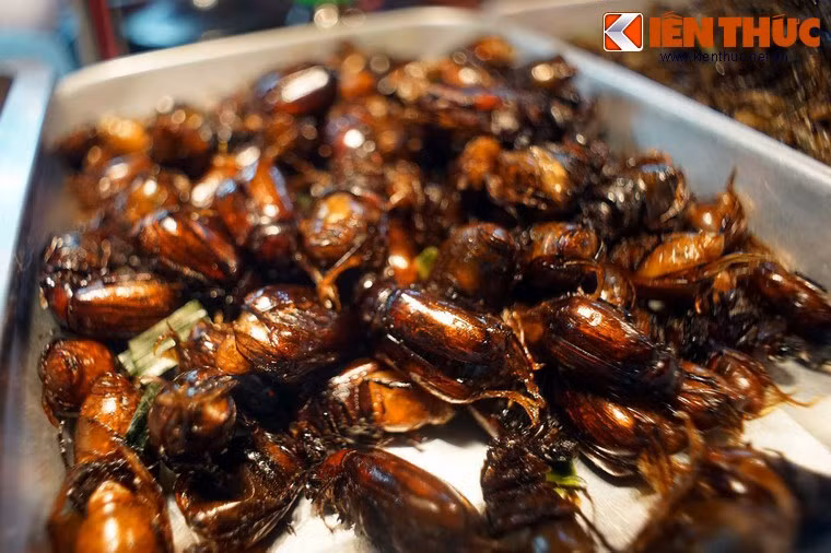 Món bọ rầy chiên giòn được xem là món ăn dân dã nhưng lại ngon khó quên của vùng đất An Giang. Món này ăn kèm với rau sống, cà chua, cải xà lách chấm với tương ớt, muối ớt chanh rất tuyệt. (Nguồn Kienthuc)