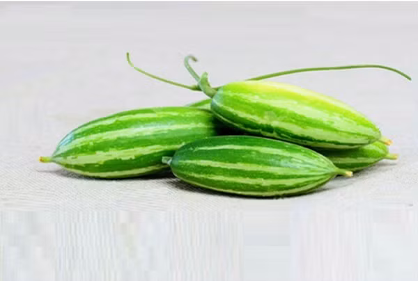  Quả lặc lày còn có tên gọi khác là quả mướp Nhật. Lặc lày có thân tròn trịa, vỏ ngoài có sọc xanh trắng gần giống với dưa gang, mùi thơm ngon, vị ngọt thanh mát rất được ưa chuộng vào mùa hè. (Nguồn Thaprauhuuco)